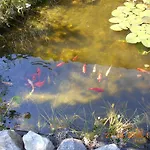 Vermiete Sehr Schoenes In Im Harz Daire