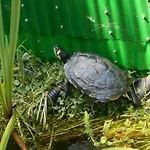 Vermiete Sehr Schoenes In Im Harz *