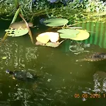 Daire Vermiete Sehr Schoenes In Im Harz *