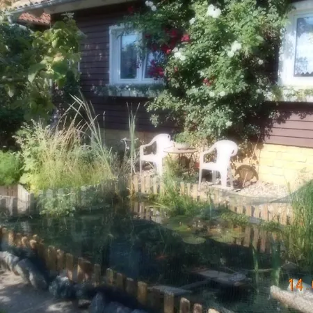 Vermiete Sehr Schoenes In Im Harz