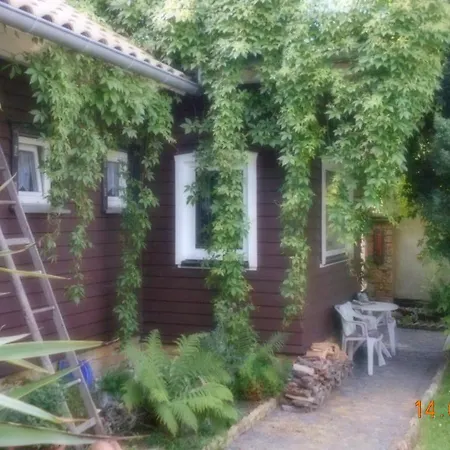 Appartement Vermiete Sehr Schoenes In Im Harz
