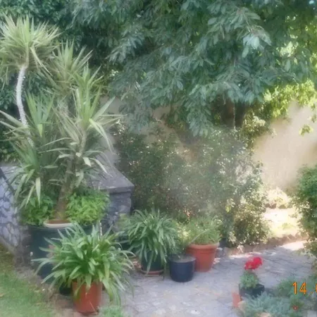 Vermiete Sehr Schoenes In Im Harz * Dankerode