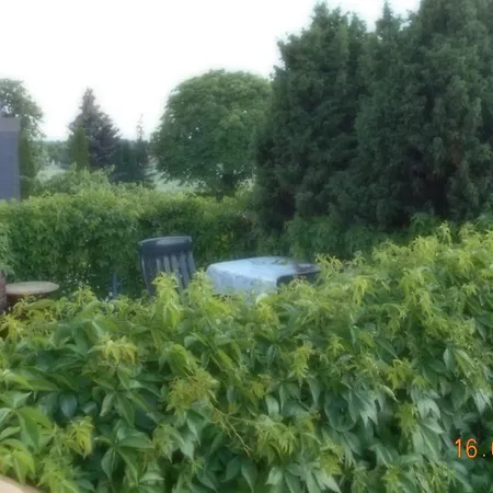 アパート Vermiete Sehr Schoenes In Im Harz Dankerode