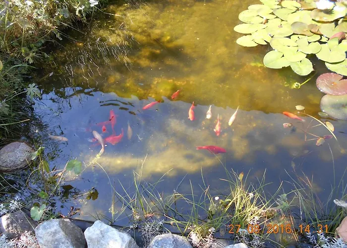 Vermiete Sehr Schoenes In Im Harz Apartamento