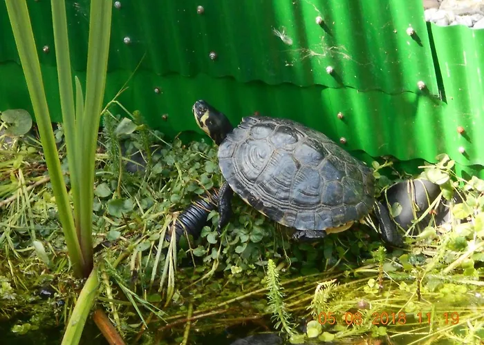 Vermiete Sehr Schoenes In Im Harz *