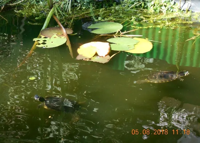 Appartement Vermiete Sehr Schoenes In Im Harz *